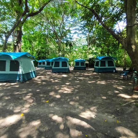 Happy Camping Arrecifes Dentro Del Parque Nacional Natural Tayrona El Coquito Esterno foto